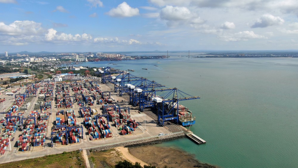 海南自贸港洋浦经济开发区自贸港政策落地 引得凤凰落梧桐_腾讯新闻