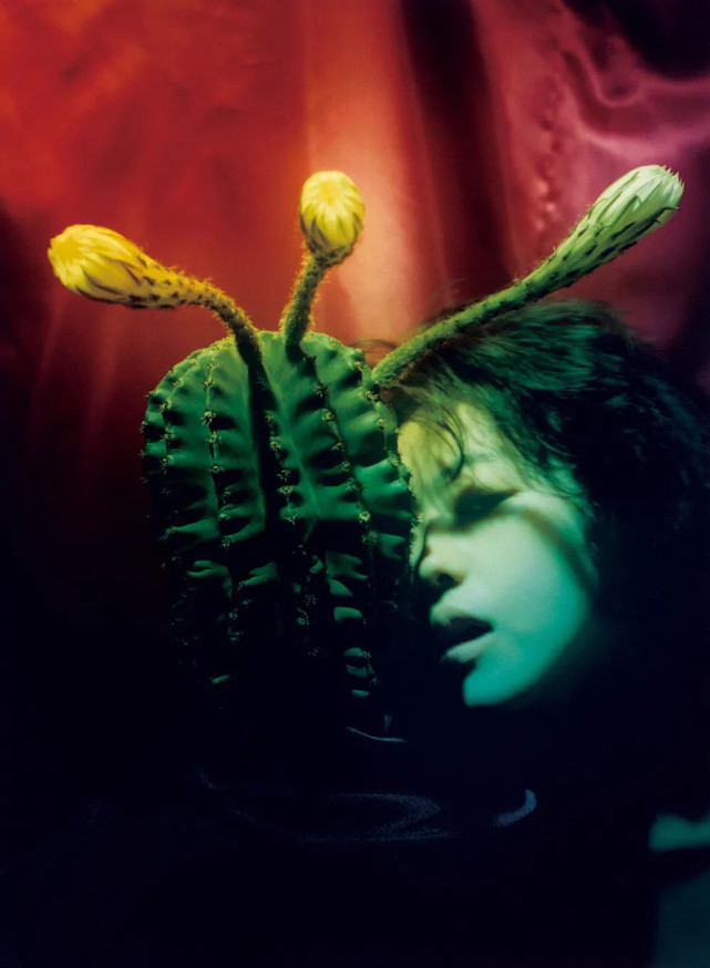 摄影收藏|三影堂/荣荣:现在还不晚,只要有收藏意识就好