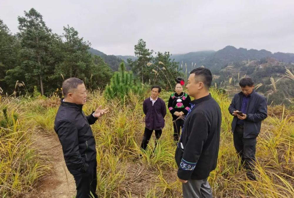 袁竞同志到雷山县郎德镇调研督导乡村振兴宣讲党的二十大精神