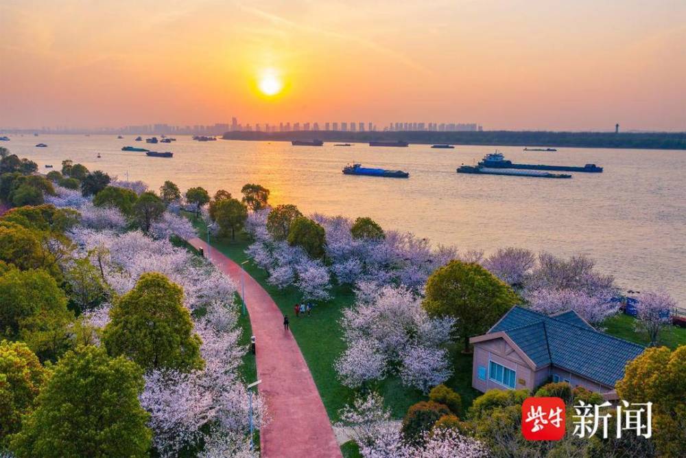 惠民旅游直通车来了南京栖霞区全域旅游直通车通车