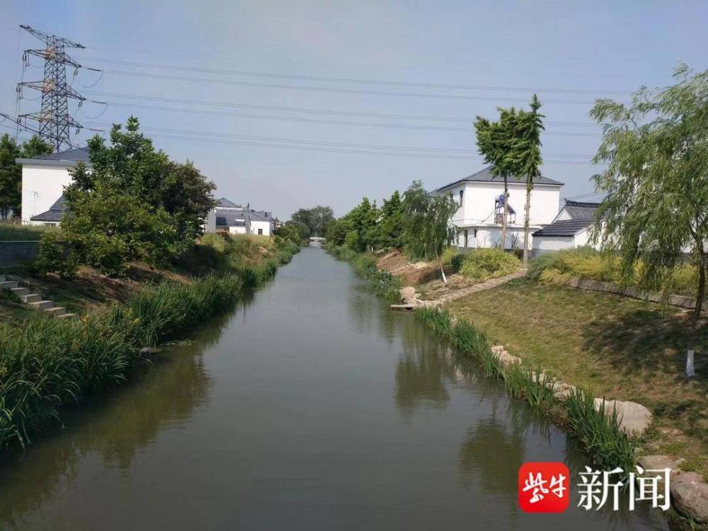 盐城市亭湖区新兴镇扮靓农村河道成就水美乡村