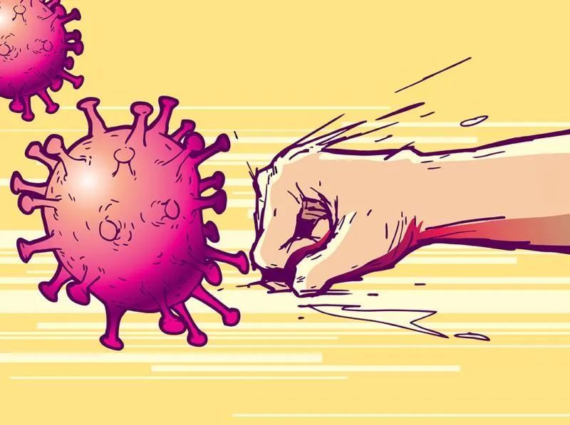 新冠病毒最新科学研究汇总——哪些食物能帮人抗感染，哪些促感染