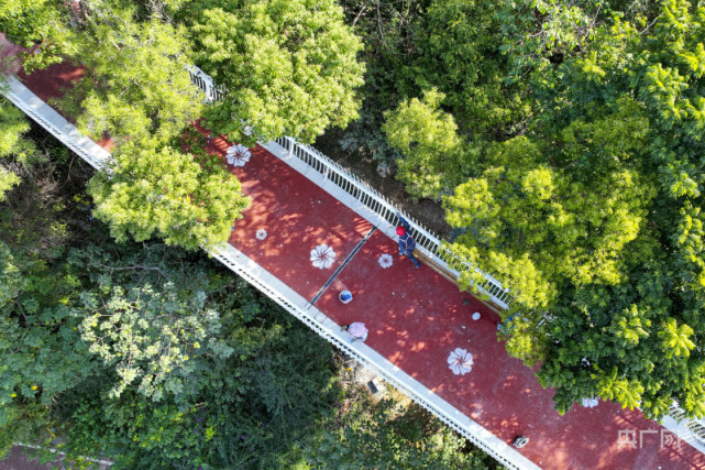 【组图】冬日福州:城市慢行系统绿意盎然