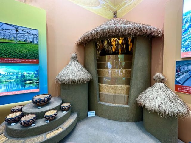 时庄遗址:四千年前"藏粮于技"的"粮仓城"