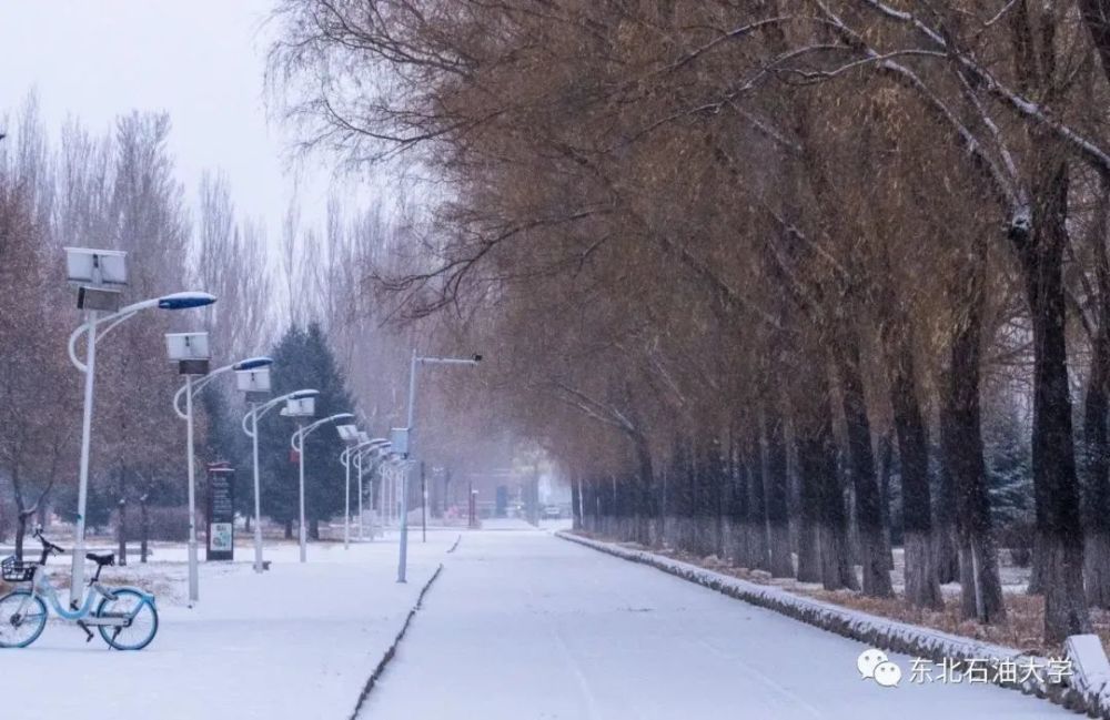 葉落滿地 霜掛枝頭初雪是冬季的浪漫而你是東油專屬的溫暖誠邀您共賞