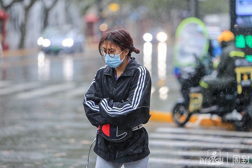 冷风冷雨冷飕飕雨打落叶铺满地晨镜头