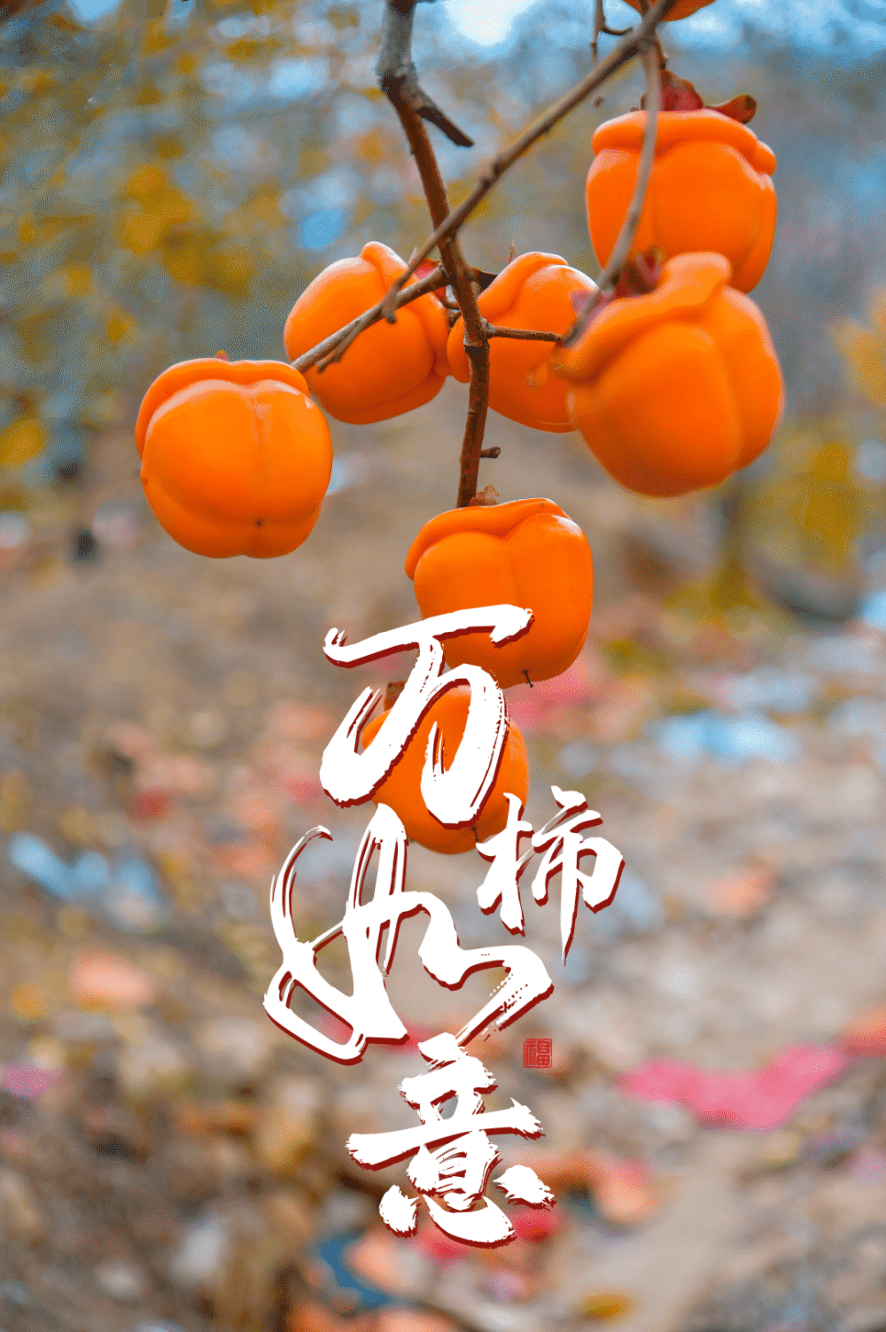 你有一份柿柿如意待查收_腾讯新闻