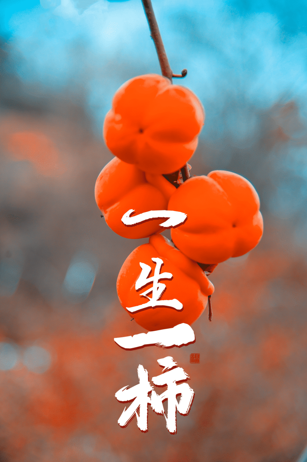 你有一份柿柿如意待查收_腾讯新闻