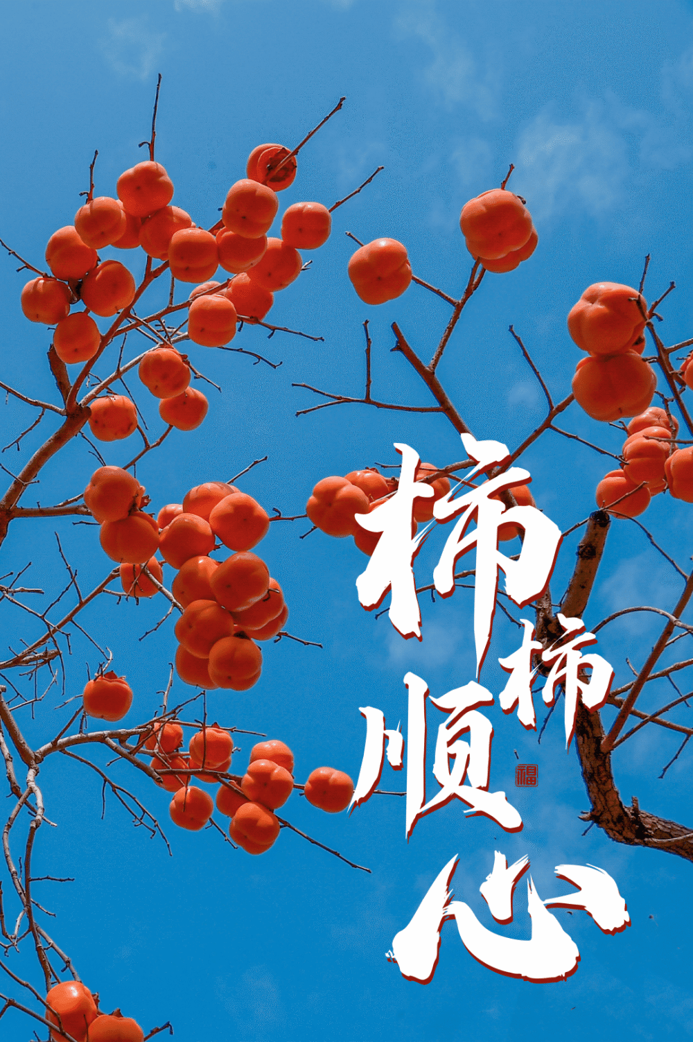 你有一份柿柿如意待查收_腾讯新闻