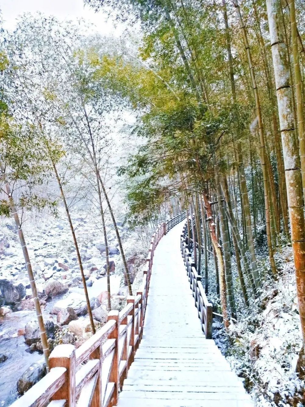 准备好迎接明月山冬天的第一场雪了吗?就在……_腾讯新闻