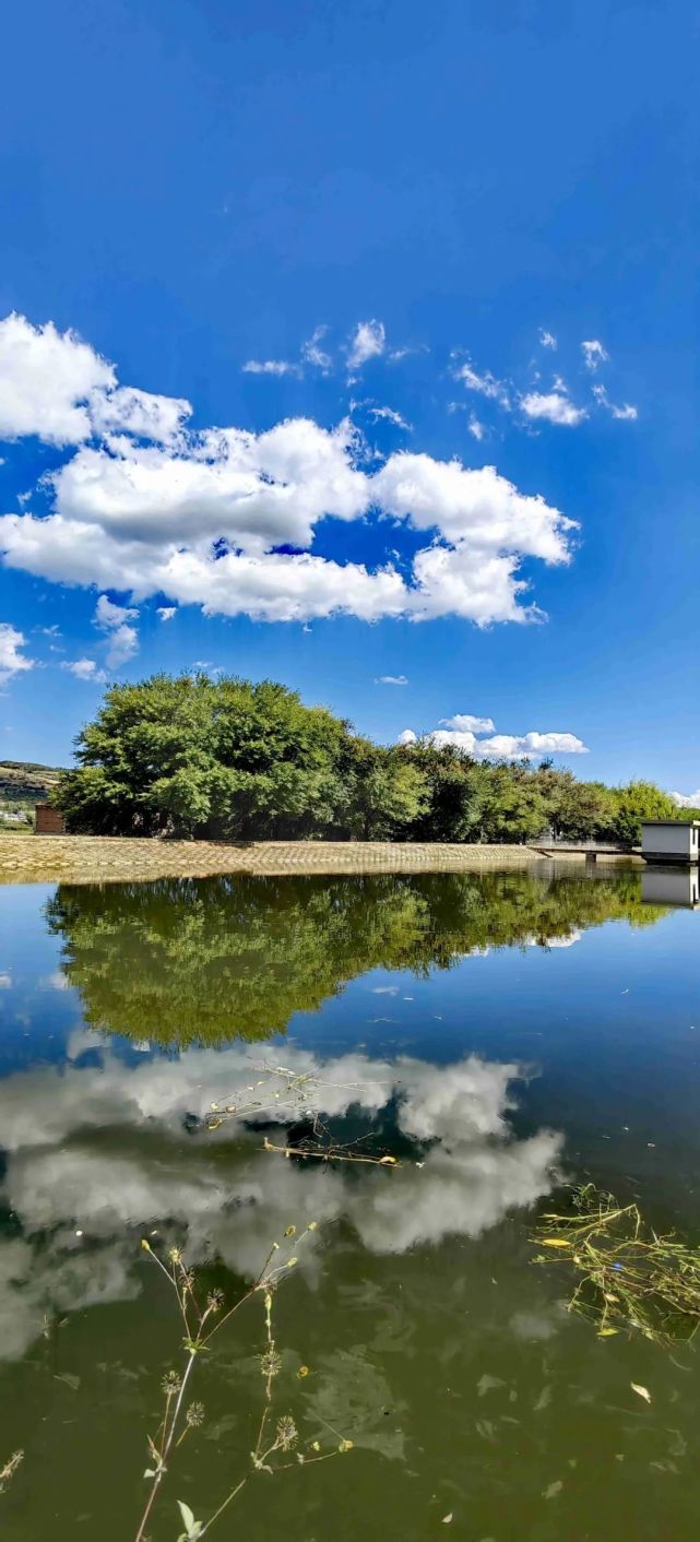 行摄宾川古村古桑映古潭层林尽染美景秀