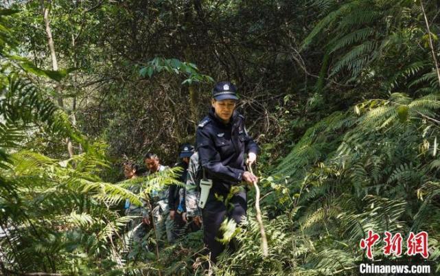 广西发布公安榜样先进事迹 民警巡山38年磨破120多双鞋