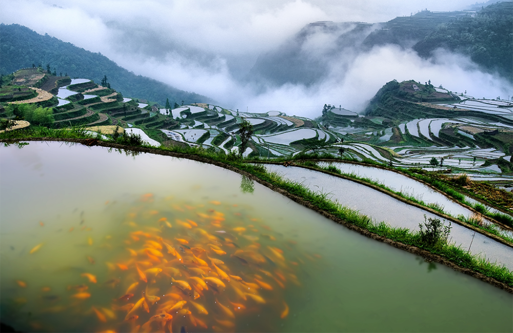 青田县小舟山乡温溪镇地处青田东大门,接轨温州桥头堡,面积58平方公里