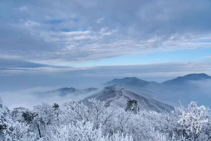 江南的第一场雪下在了临安