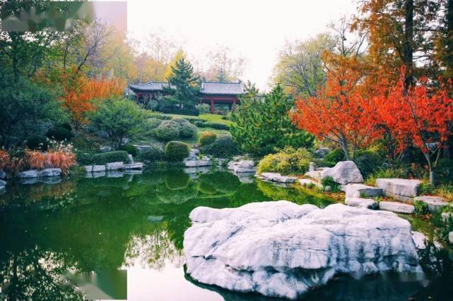 美景山东|环翠楼公园:铭刻500余年风雨沧桑-腾讯新闻