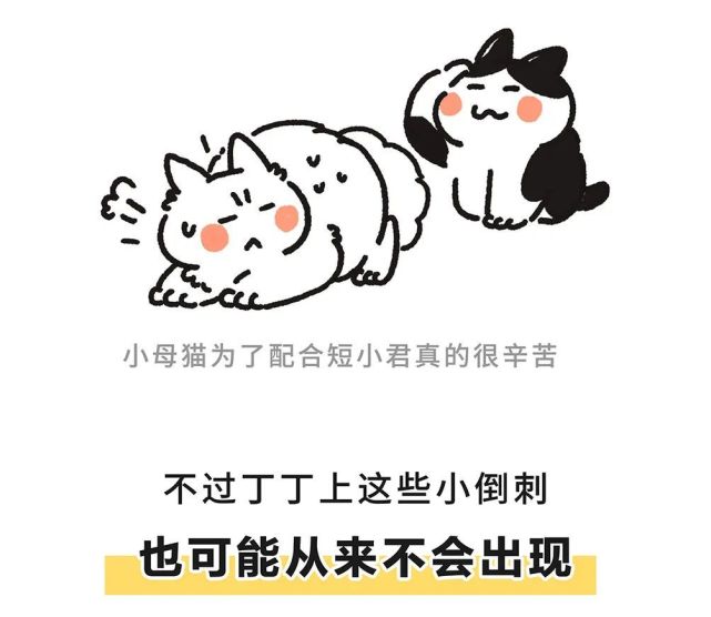 又短，又小，又弱鸡…小猫咪的丁丁究竟靠啥取胜？！_腾讯新闻