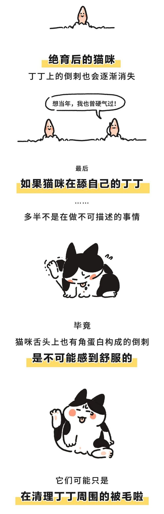 又短，又小，又弱鸡…小猫咪的丁丁究竟靠啥取胜？！_腾讯新闻
