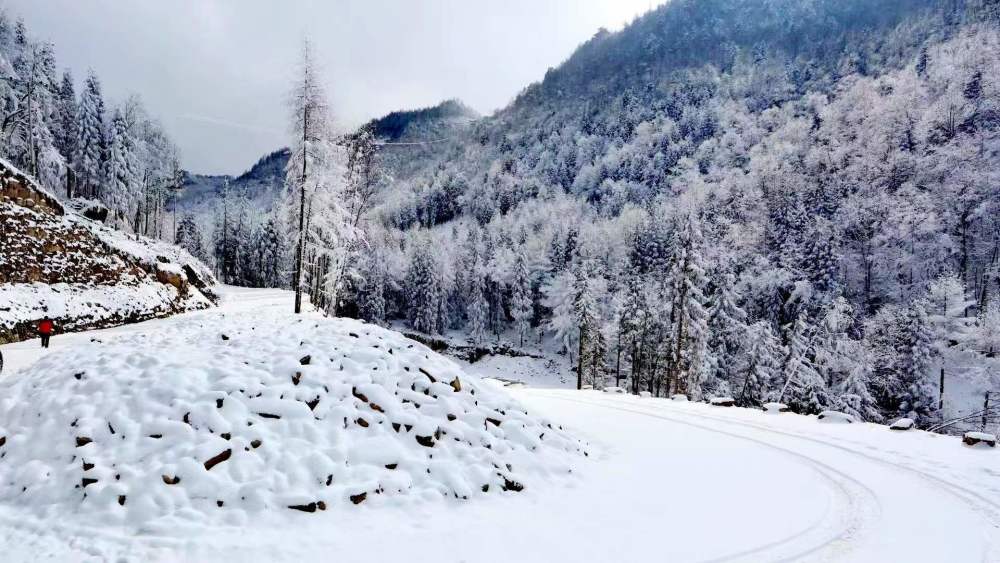 雪淞胜景宛如仙境曾家山下雪啦网友看雪景和过年一样高兴