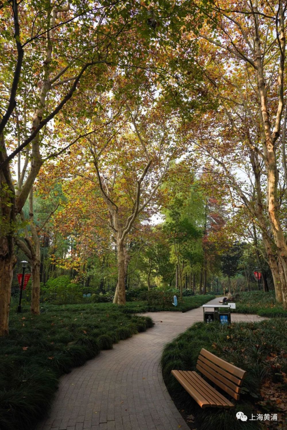 街拍黄浦你在看风景我在风景中看你