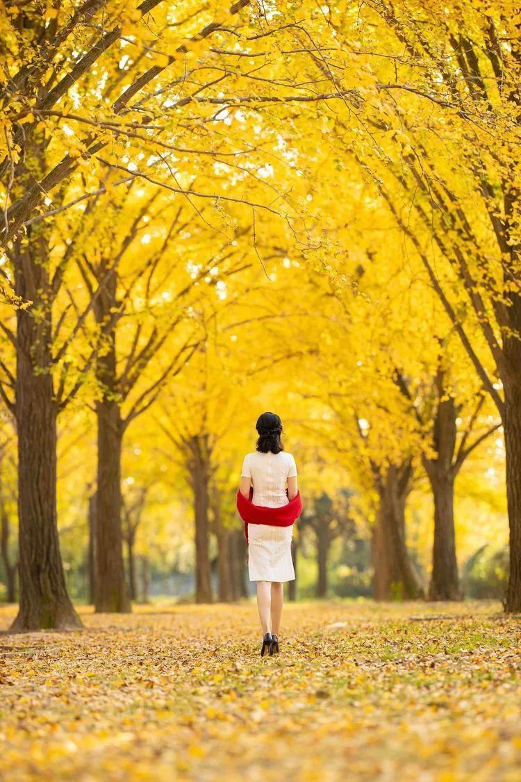 拍照不用剪刀手,按照口诀摆姿势,漂亮的照片拍出来_腾讯新闻