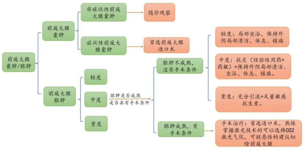 抗生素怎麼選?前庭大腺囊腫/膿腫治療最新專家共識解讀_騰訊新聞