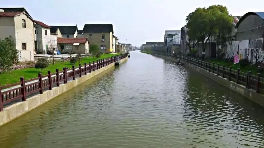 雲賞河湖丨青浦在青浦白鶴看一條河的蛻變之路里巷港