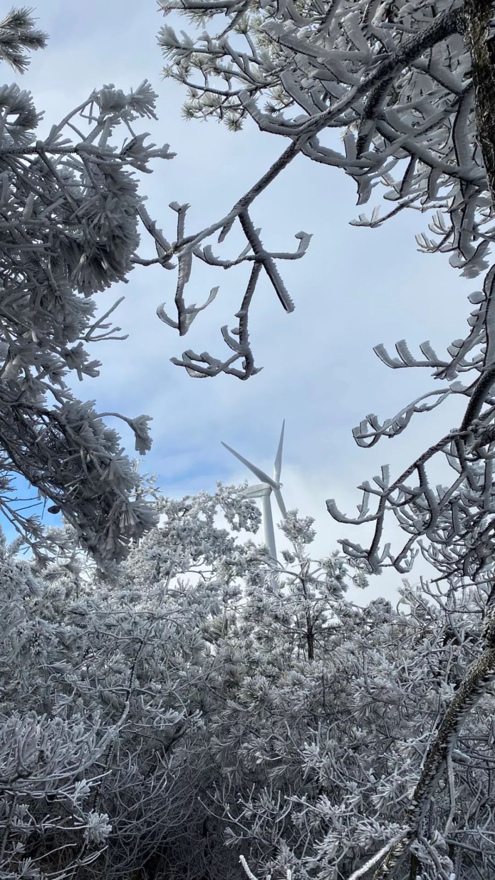 临海括苍山雪景图片