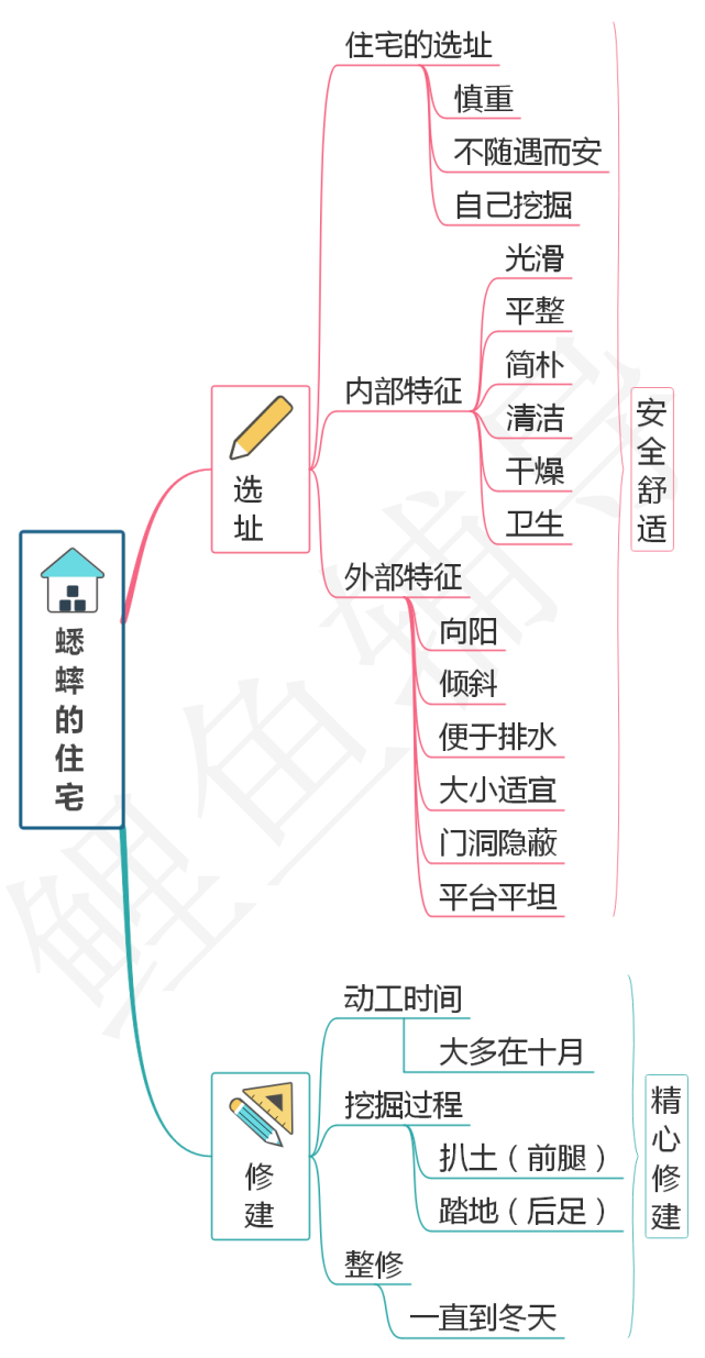 部編版四年級語文上冊《蟋蟀的住宅》課文解析,給孩子預習