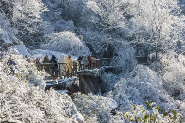 下雪啦!灵山初雪已派送!