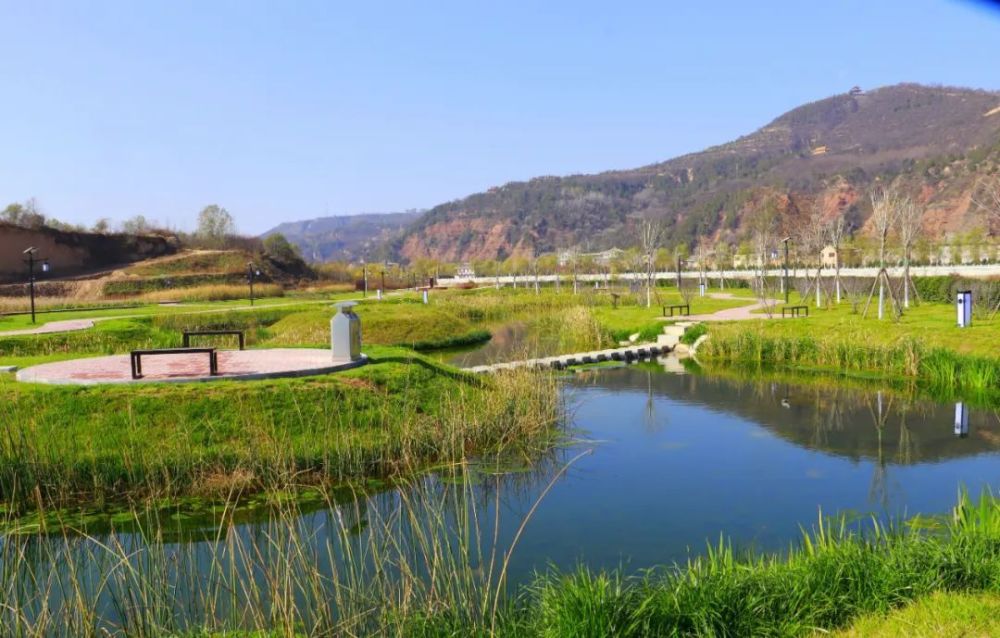甘肃发布平凉市崇信县湿地生态美飞鸟入画来