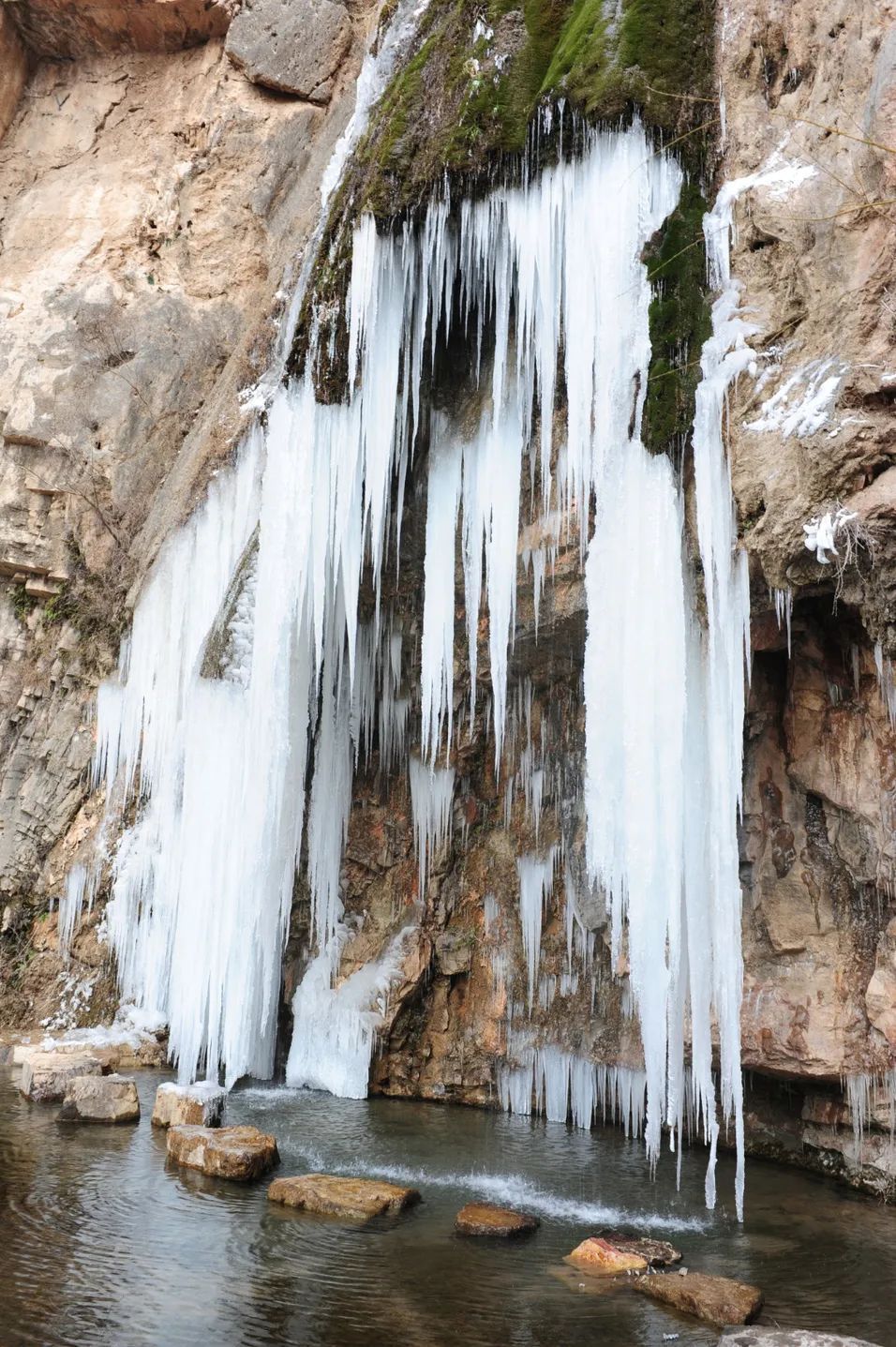 素雪晓凝华图片