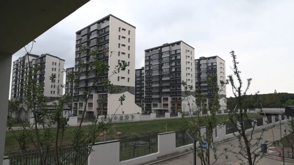 民心 ,温暖家|青浦全力推进动迁安置房建设!_腾讯新闻