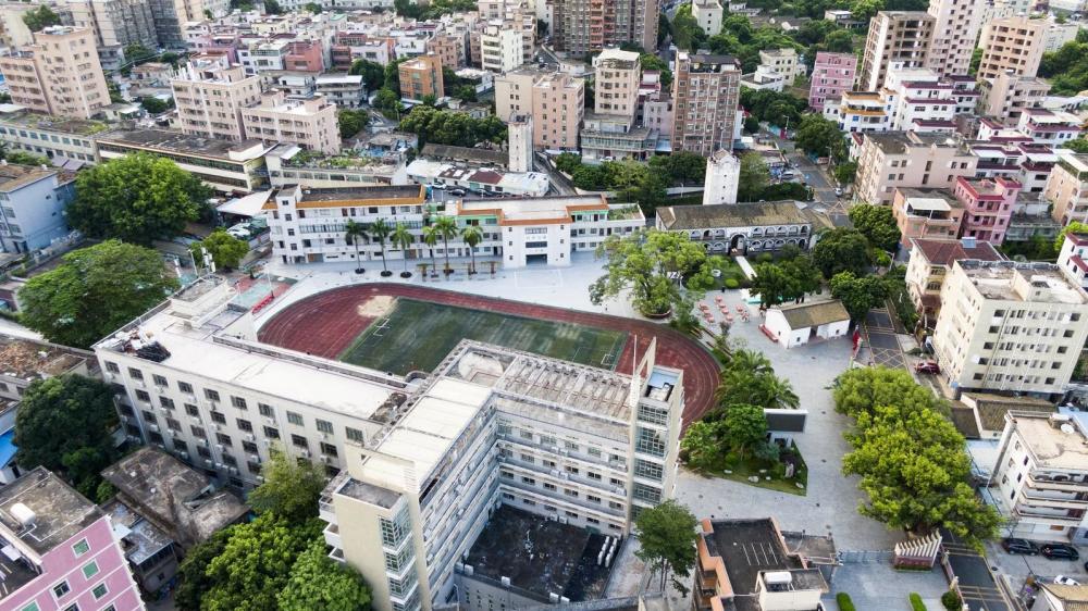 观文脉|广培小学:时间繁衍的大树_腾讯新闻