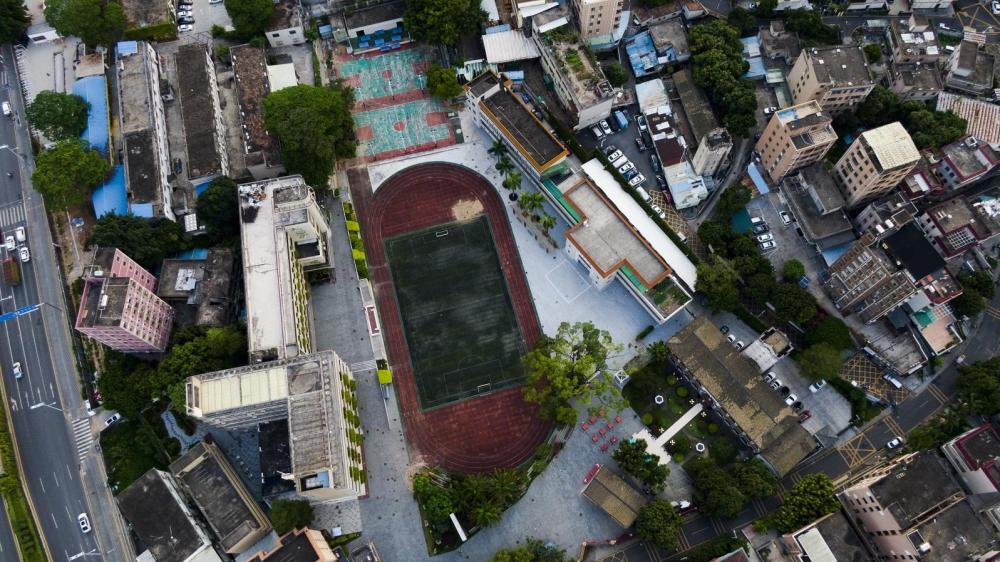 观文脉|广培小学:时间繁衍的大树_腾讯新闻