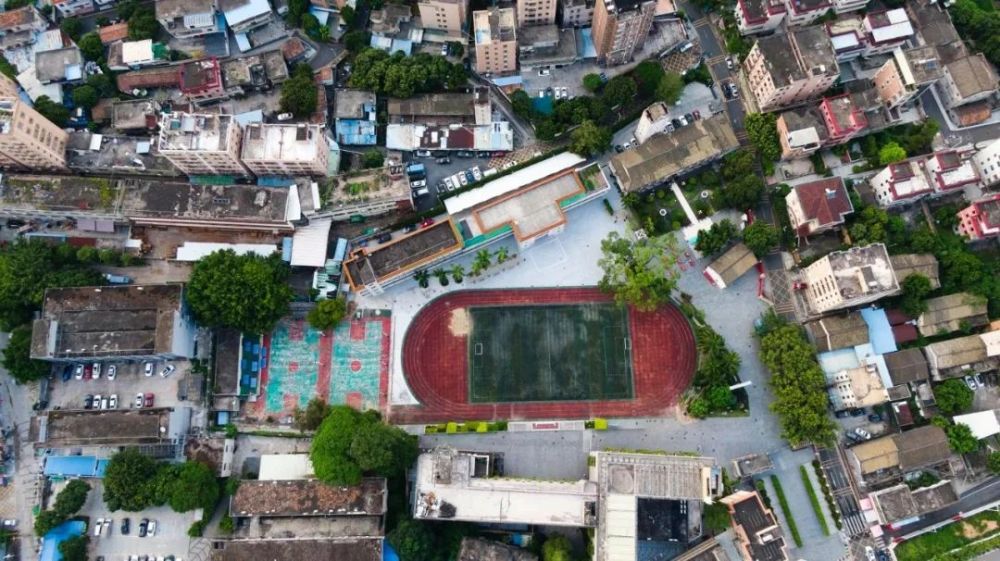 深圳文脉影像志│广培小学时间繁衍的大树