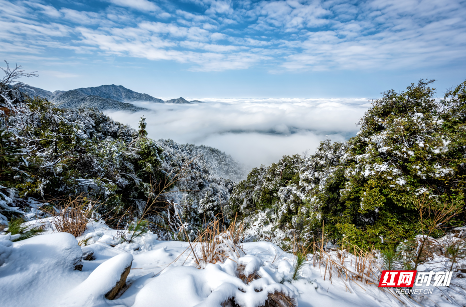 组图丨炎陵雪景上新了 来看看这些冰雪美景吧!