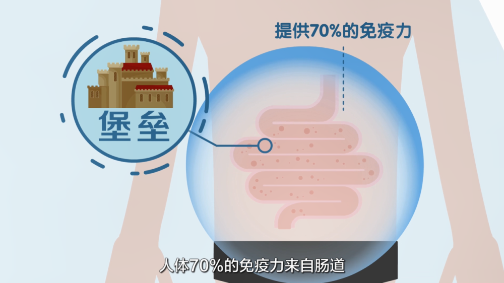 腸道集結了人體70%以上的免疫因子,產生約80%的抵抗力