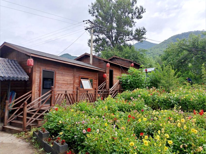 通化市东昌区金厂镇夹皮沟村发展特色种植业种出村民好日子