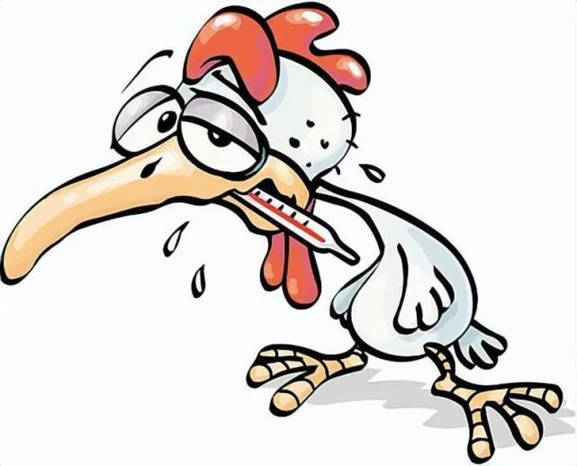 美国爆发史上最严重禽流感!已扑杀5000万只,进口鸡肉还能吃吗?