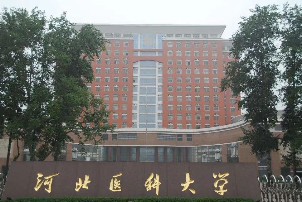 河北医科大学2023年统招博士研究生报名须知【几深教育】 - 265学校教