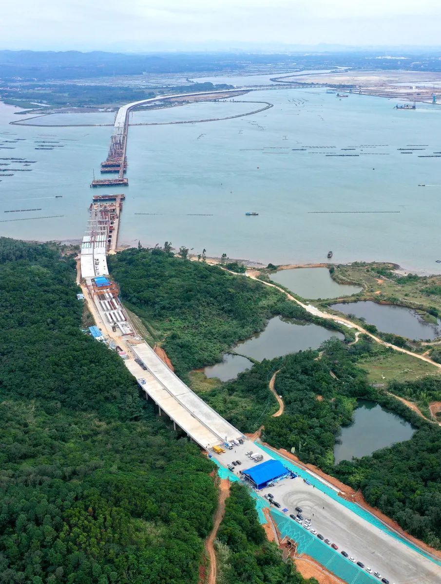 廣東濱海旅遊公路陽江海陵大堤至溪頭段(含陽江港大橋)項目施工現場