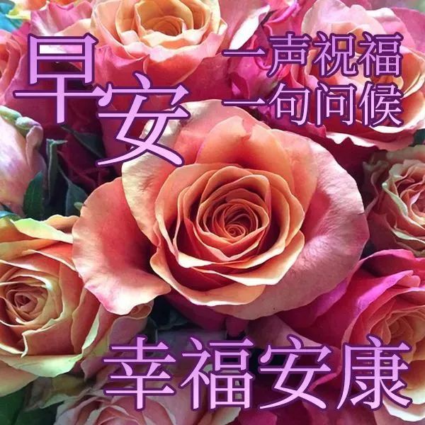 早上好图片大全正能量句子,励志心灵鸡汤早安句子_腾讯新闻