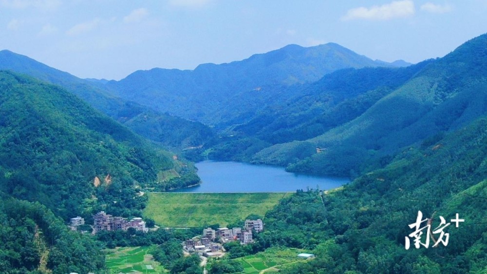 高州市云潭镇:"四水同治"护水清岸美_腾讯新闻