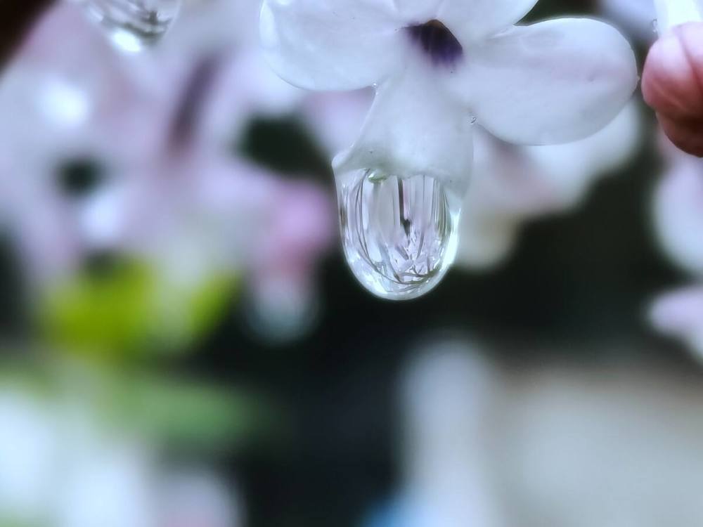 雨落青瓦成了煙花落滿徑有誰拾