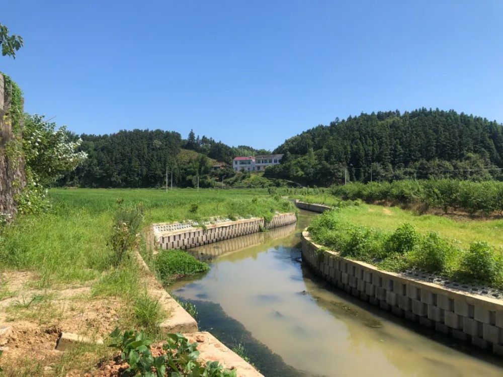 拿口镇池下村《龙脊梯田》获全国高标准农田建设"美