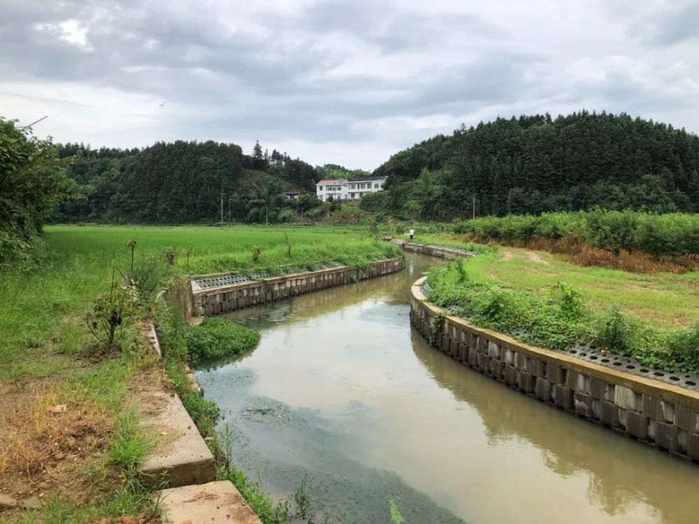 拿口镇池下村《龙脊梯田》获全国高标准农田建设"美