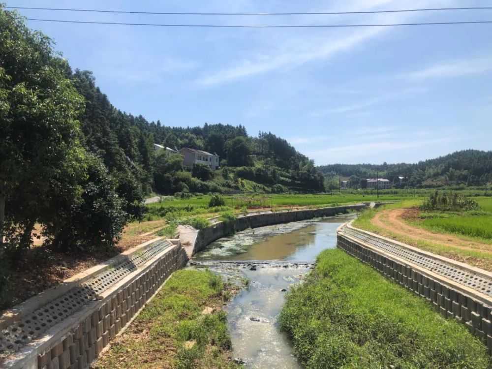 拿口镇池下村《龙脊梯田》获全国高标准农田建设"美