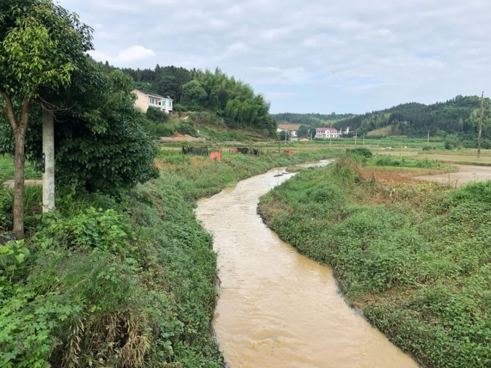 拿口镇池下村《龙脊梯田》获全国高标准农田建设"美