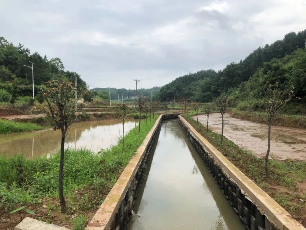 村龙门水库排水渠中段《山峡村土地平整航拍图前后对比》作者:张