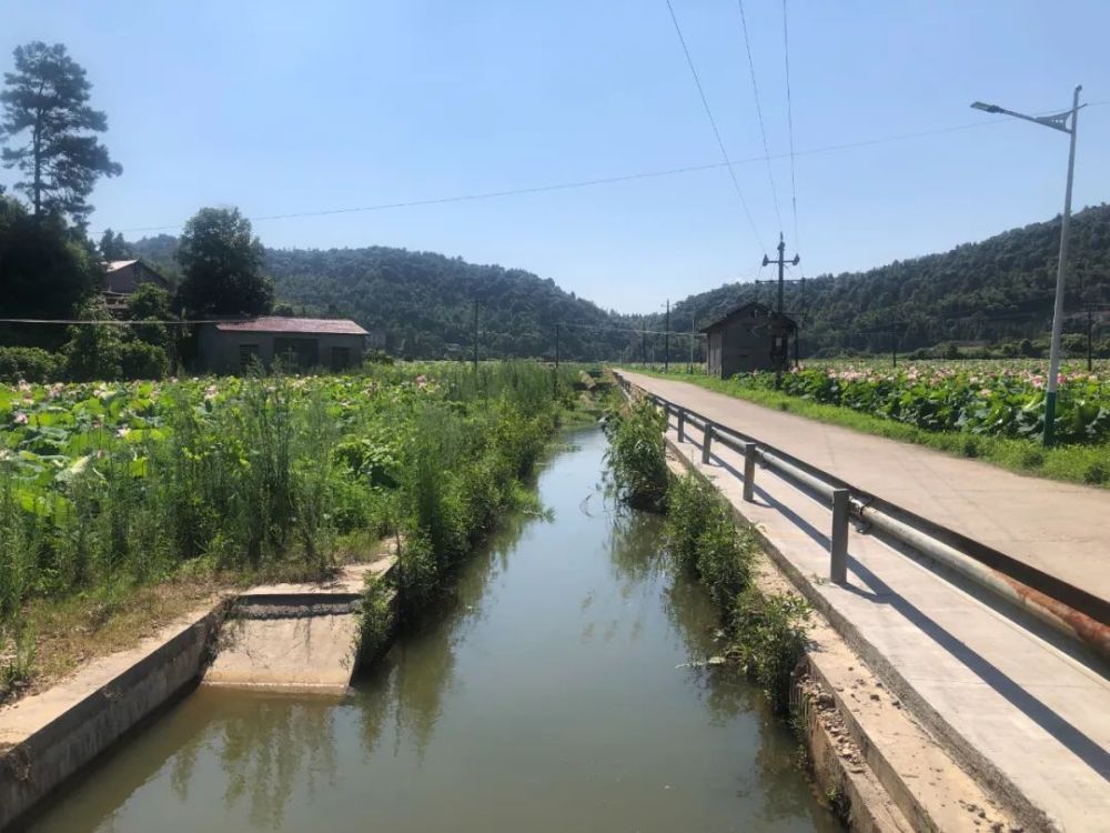 《山峡村土地平整航拍图前后对比》作者:张爱培拍摄地点:福建省邵武市